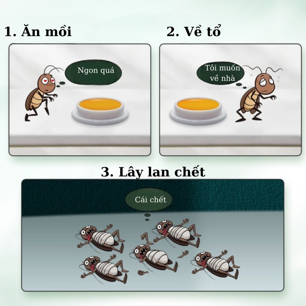 【5 Hộp】Thuốc Diệt Gián Sinh Học- Diệt Gián Tất Cả Loài Gián Hiệu Quả Nhanh Chóng, Tận Gốc, An Toàn Cho Người Và Vật Nuôi