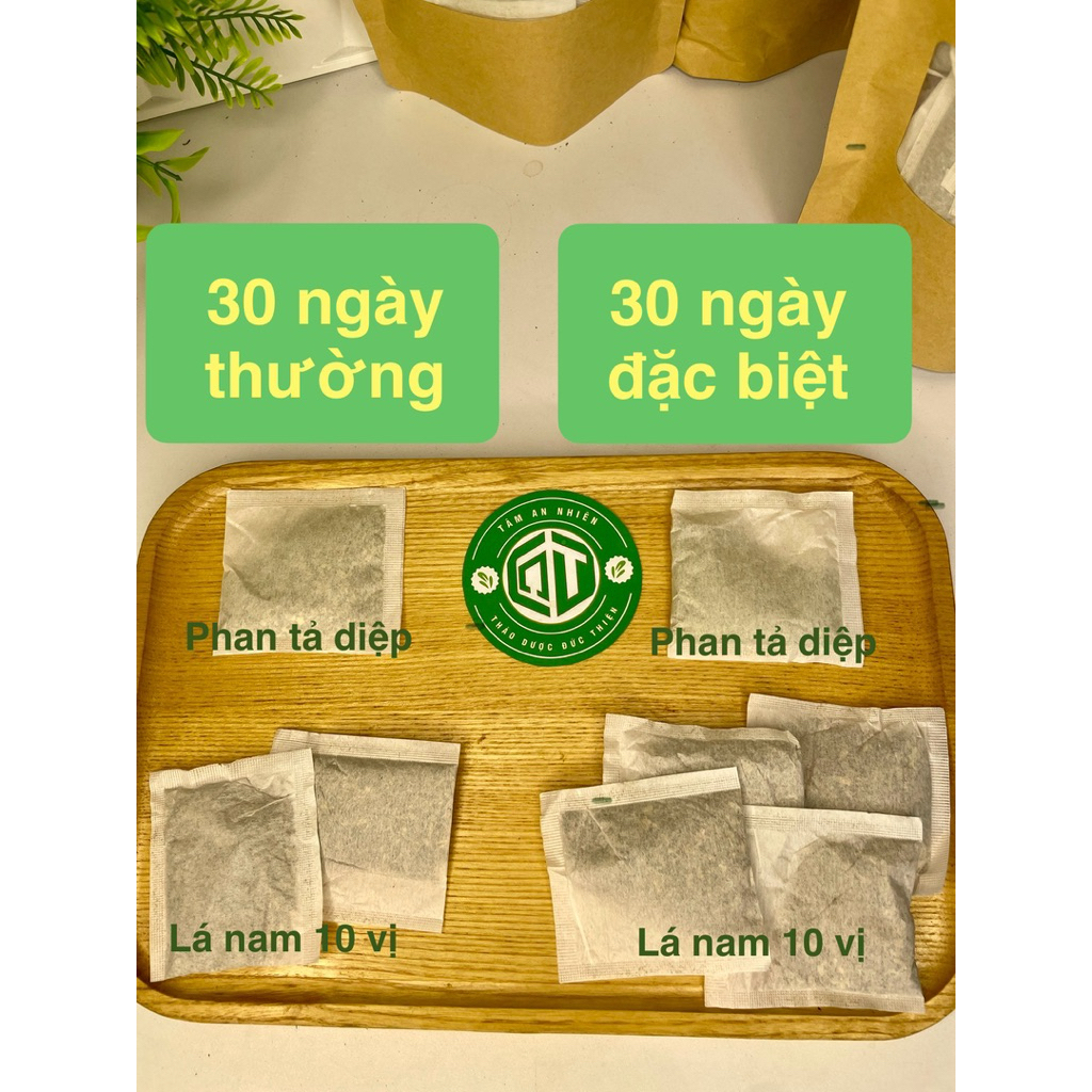 TRÀ THẢO MỘC ĐỨC THIỆN (Gồm Trà Lá Phan Tả Diệp & Trà Lá Nam 10 Vị)