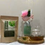 Trà Kim tiền thảo Râungô- DIỆP CHI- Hỗ trợ tiêu sỏi (thận, bàng quang),tiểu đêm,tiết niệu- Túi 40lọc