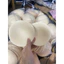 Miếng mút ngực (2 miếng) , mút độn ngực áo tập, bikini, phụ liệu may mặc