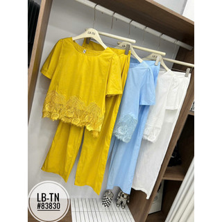 Sét áo sơ mi thô cộc tay ren gấu + quần xuông dáng dài #83830