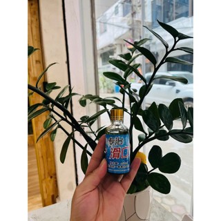 Hương Liệu Câu Cá Vũ Ngư 50ml - Ngâm Ốc – Dẫn Dụ Cá Cũ, Cá Khó Câu Hiệu Quả