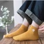 BỘ TẤT NỮ THÊU HOA CÚC - Chống trượt- thoáng khí - dễ phối với giày sneaker hoặc slip-on