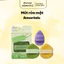 Bông Mút Rửa Mặt Bọt Biển AMORTALS 1 Miếng - 3 Miếng, Bông Rửa mặt Bọt Biển AMORTALS Tạo bọt, làm sạch da m