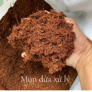 Mụn Dừa Mekong Xử Lý loại 50dm3 Ươn Hạt Giống Trộn Làm Giá Thể TRồng Cây