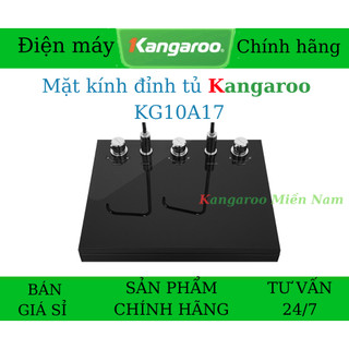 Mặt kính đỉnh tủ dành cho máy lọc nước Kangaroo KG10A17, KG10A17 (Mặt kính bao gồm phần kính và đỉnh nhựa)