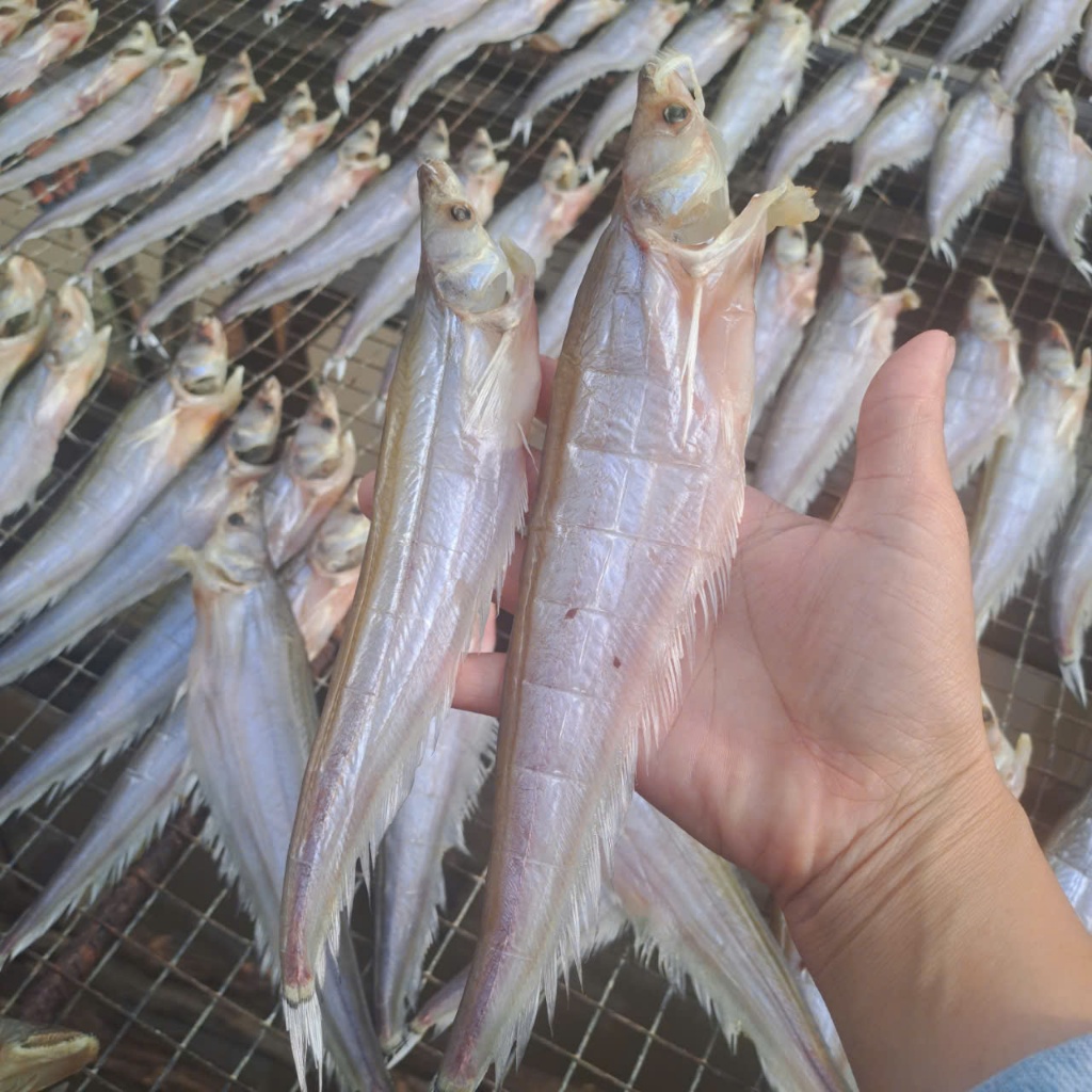 500g Khô Cá Chèn Ăn Nhạt – Thịt Ngọt, Chiên/Nướng Đều Ngon
