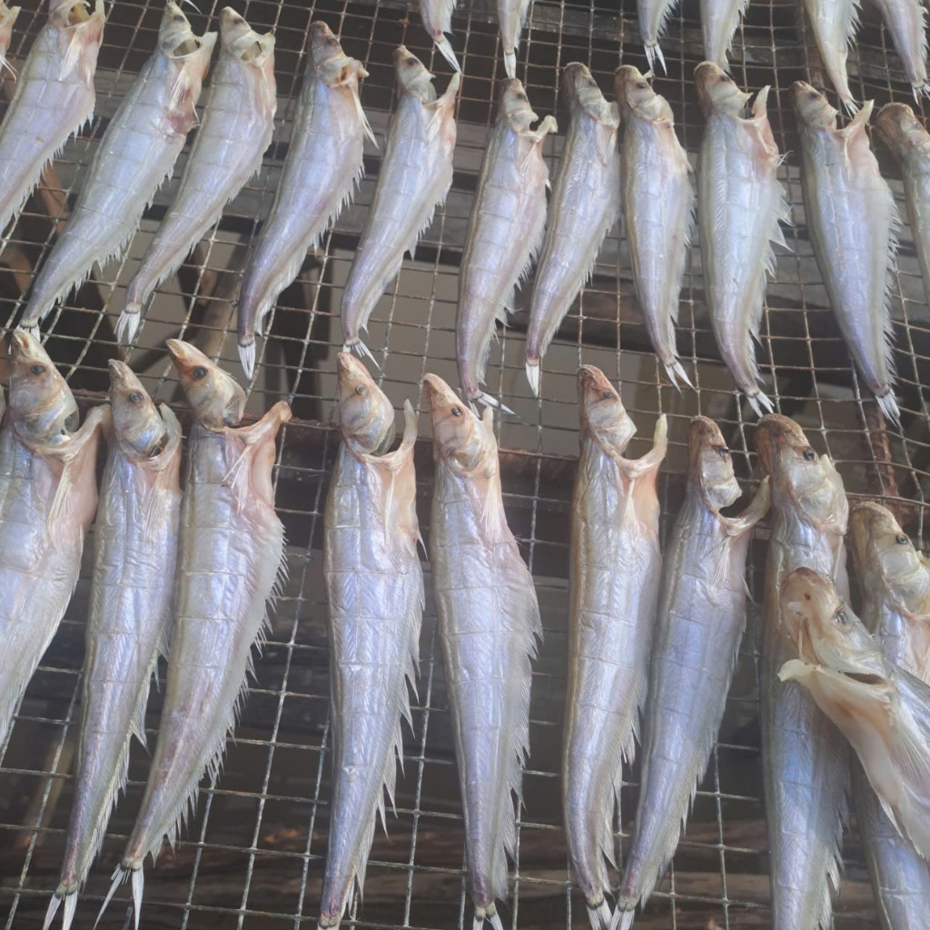 500g Khô Cá Chèn Ăn Nhạt – Thịt Ngọt, Chiên/Nướng Đều Ngon