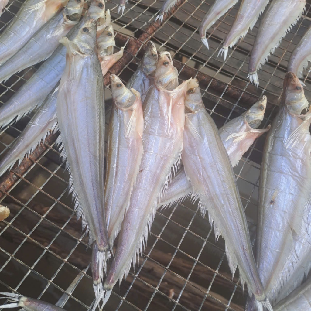 500g Khô Cá Chèn Ăn Nhạt – Thịt Ngọt, Chiên/Nướng Đều Ngon