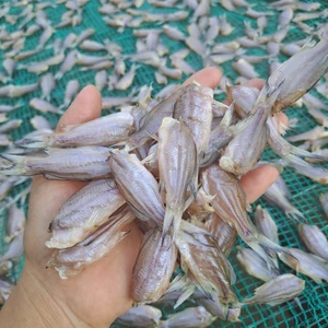 Khô Cá Chốt Nhà Làm – Cá Tẩm Vị Nhẹ, Chiên Giòn Rất Hợp Cơm - Gói 500g