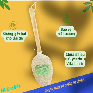 Cây Kỳ Lưng Xơ Mướp Tự Nhiên KB Ecolife (Cán dẹt 45cm) Làm Sạch Sâu Tẩy Da Chết Massage Da