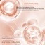 Sữa Dưỡng Thể Dưỡng Trắng Cấp Ẩm Làm Đều Màu Da Niacinamide Vitamin C Cho Da Khô