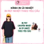 In pet chuyển nhiệt quần áo theo yêu gửi mẫu cho shop qua mục chát,ủi tại nhà bằng bàn ủi,thao tác đơn giản