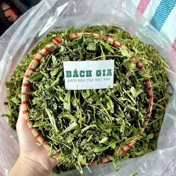 Trà Cỏ Ngọt Khô - Bách Gia - Xanh Đẹp Hàng Loại 1, Giải Độc, Mát Ga, Nấu Nước, Hãm Trà, detox,...