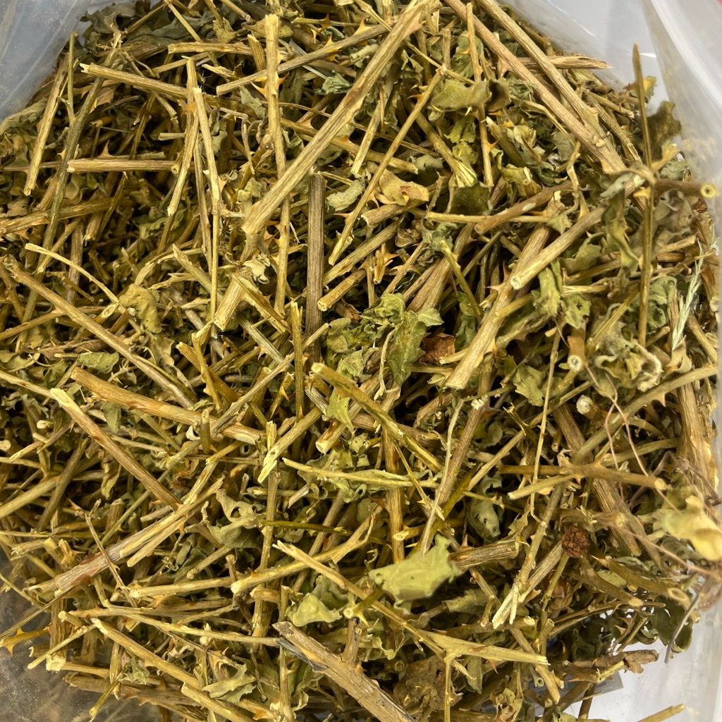 500g Cà Gai Leo Loại 1 Đức Thiện (Khô, Sạch, Thơm) - Hỗ Trợ Ung Thư, Men Gan, Gan Nhiễm Mỡ, Gan B C