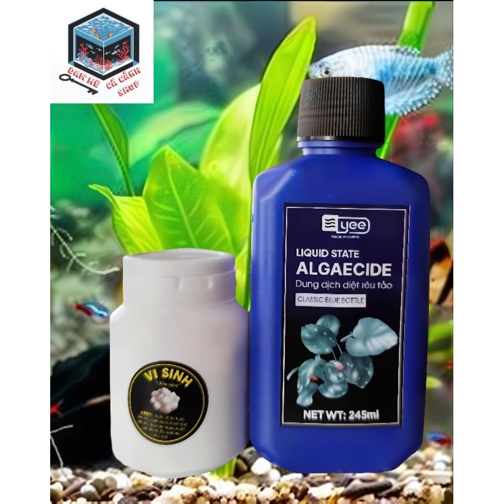 Combo Diệt Rêu Xanh + 100V Visinh ,Có Tác Dụng Tiêu Diệt Rêu Tảo Và làm ...