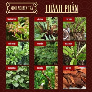 Trà Xương Khớp - Minh Nguyên - Đốt Sống Lưng, Cổ Vai Gáy, Thoát Vị, Tràn Dịch Khớp - Túi 50 lọc