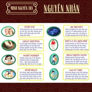 Trà Xương Khớp - Minh Nguyên - Đốt Sống Lưng, Cổ Vai Gáy, Thoát Vị, Tràn Dịch Khớp - Túi 50 lọc