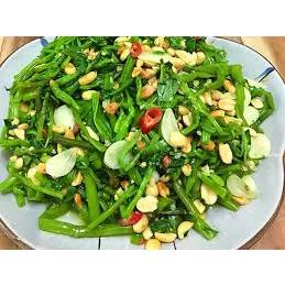 HẠT GIỐNG RAU MUỐNG BACHA 256 - CHÍNH HÃNG RẠNG ĐÔNG ( DATE MỚI NHẤT)