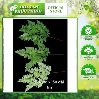 Cành dương sỉ 5 nhánh dài 1m, lá nhựa mềm tạo cảm giác chân thật