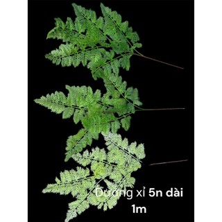 Cành dương sỉ 5 nhánh dài 1m, lá nhựa mềm tạo cảm giác chân thật