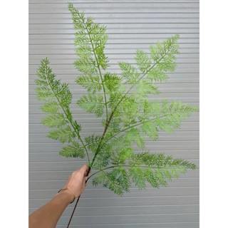 Cành dương sỉ 5 nhánh dài 1m, lá nhựa mềm tạo cảm giác chân thật