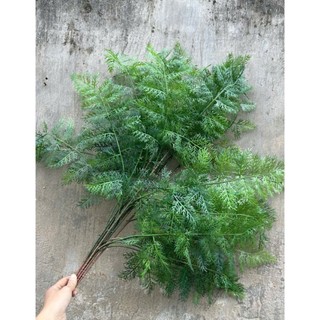 Cành dương sỉ 5 nhánh dài 1m, lá nhựa mềm tạo cảm giác chân thật