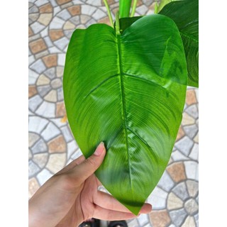 bộ thiên điểu 1m4( 3 cây) tặng chậu nhựa kim cương và 1 thảm rêu cao cấp
