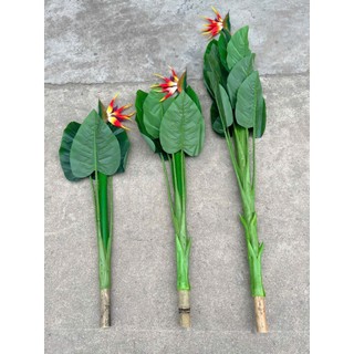 bộ thiên điểu 1m4( 3 cây) tặng chậu nhựa kim cương và 1 thảm rêu cao cấp