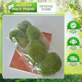 Đá rêu giả -bộ 6 viên đá rêu tiểu cảnh, trang trí gốc cây, derco tiểu cảnh xinh