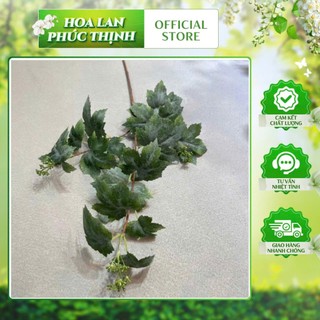 🍃 Cành lá dâu giả decor treo tường, trang trí tiểu cảnh