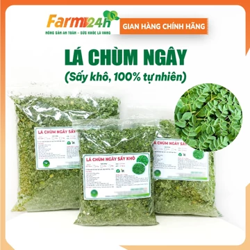 Lá Chùm Ngây Sấy Lạnh hỗ trợ Ổn Định Đường Huyết, Hạ Huyết Áp