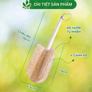 Cây Cọ Rửa Ly,Cốc Bằng Xơ Mướp KB Ecolife Không Gây Trầy Xước Cho Sản Phẩm Khi Sử Dụng