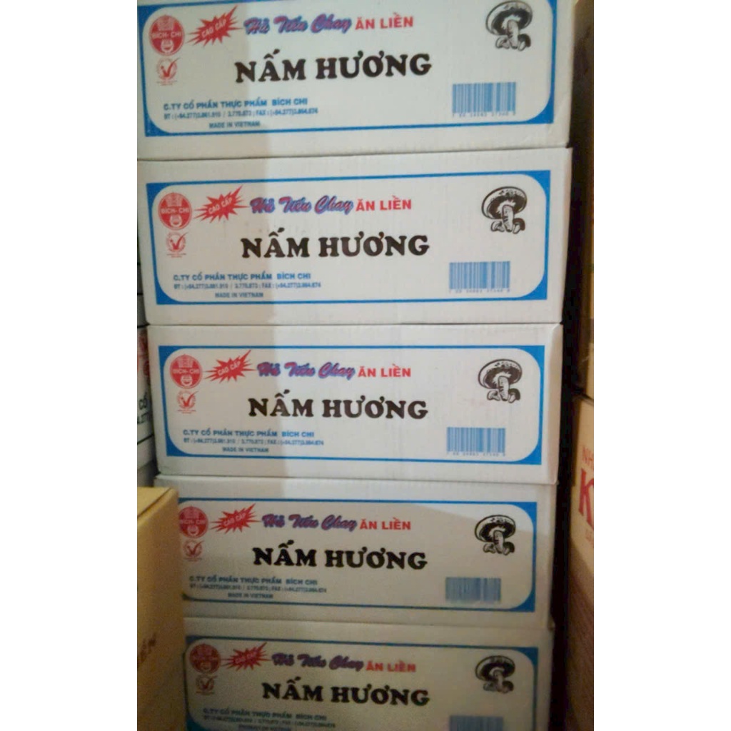 Thùng 30 gói Hủ Tiếu Chay ăn liền hiệu Bích Chi 60gr x 30 gói