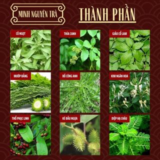 Trà Tiểu Đường - Minh Nguyên - Ổn Định Đường Huyết, Phục Hồi Chuyển Hóa,Ngăn Biến Chứng - Túi 50 lọc