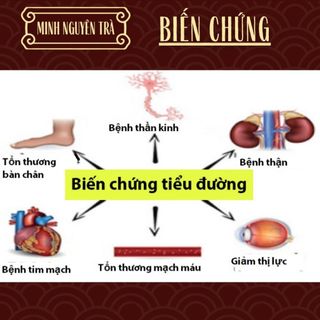 Trà Tiểu Đường - Minh Nguyên - Ổn Định Đường Huyết, Phục Hồi Chuyển Hóa,Ngăn Biến Chứng - Túi 50 lọc