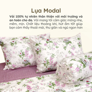 Chăn Vỏ Chăn (Mền) lớn Lụa Modal cao cấp Hân Võ, chất mềm mịn