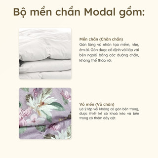 Chăn Vỏ Chăn (Mền) lớn Lụa Modal cao cấp Hân Võ, chất mềm mịn