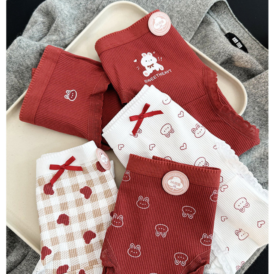 Quần Lót Nữ Cotton Thoáng Mát Viền Ren Hoạ Tiết Dễ Thương DORIS 341