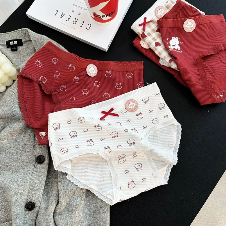 Quần Lót Nữ Cotton Thoáng Mát Viền Ren Hoạ Tiết Dễ Thương DORIS 341