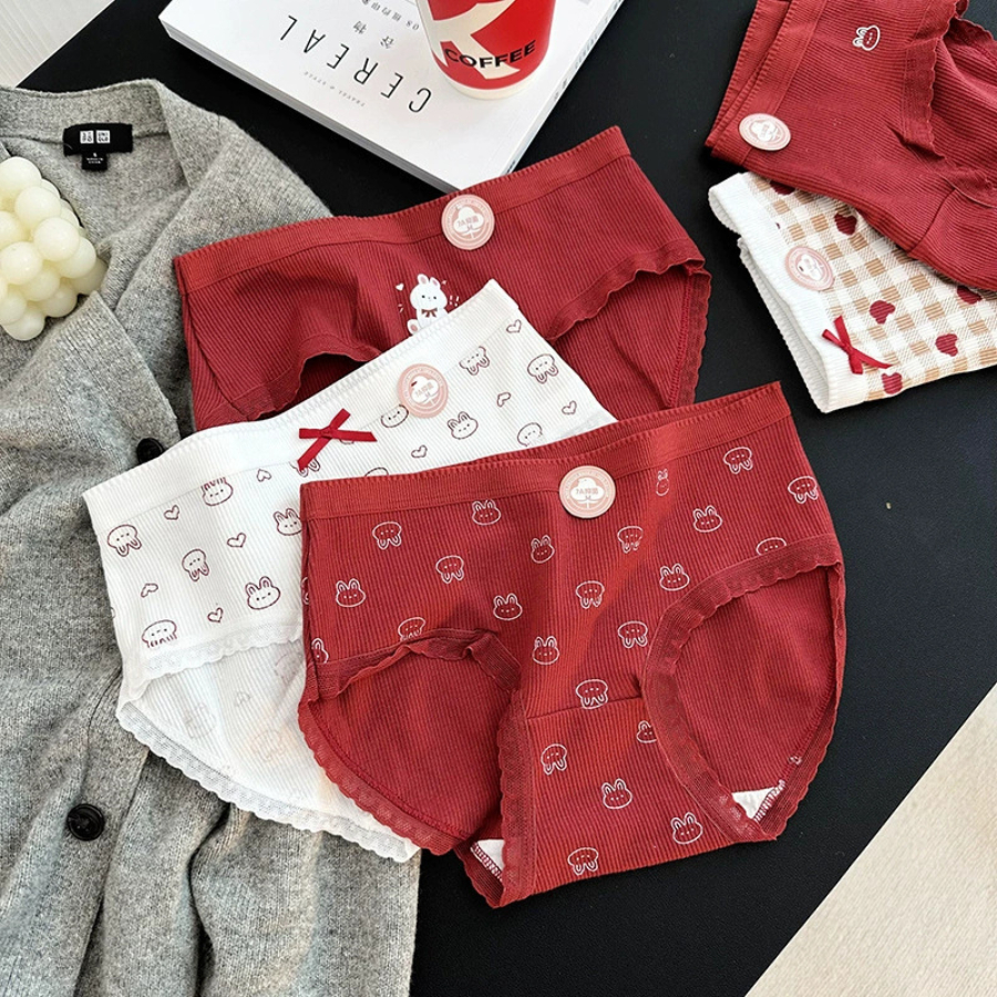 Quần Lót Nữ Cotton Thoáng Mát Viền Ren Hoạ Tiết Dễ Thương DORIS 341