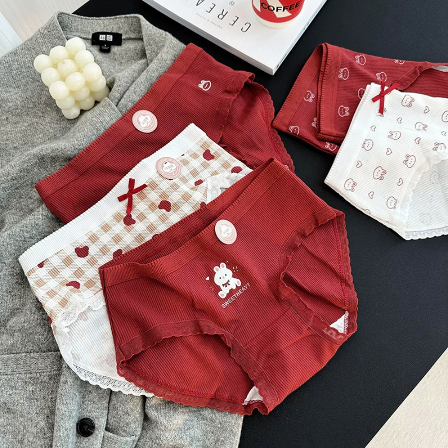 Quần Lót Nữ Cotton Thoáng Mát Viền Ren Hoạ Tiết Dễ Thương DORIS 341