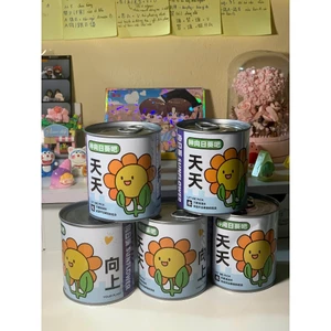 HỘP MÙ TRỒNG CÂY TỰ TAY ƯƠM MẦM YÊU THƯƠNG