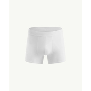 Quần boxer nam lưng dệt loggo Boxer - RT 10S25UND005