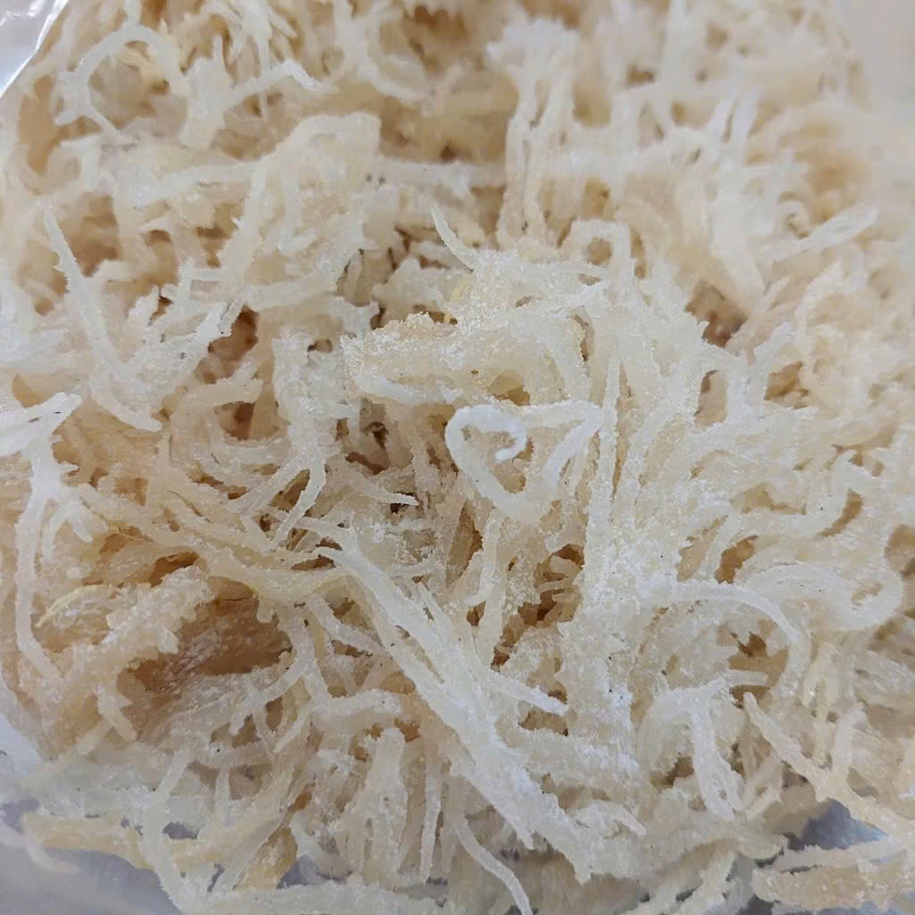 500g-1Kg Rong Sụn - Rau Câu Chân Vịt | Shopee Việt Nam