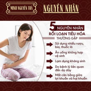 Trà Thải Độc Tiêu Hóa - Minh Nguyên - Sạch Đường Ruột, Giảm Táo Bón, Hỗ Trợ Tiêu Hóa - Túi 50 lọc