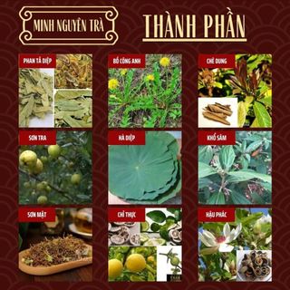 Trà Thải Độc Tiêu Hóa - Minh Nguyên - Sạch Đường Ruột, Giảm Táo Bón, Hỗ Trợ Tiêu Hóa - Túi 50 lọc