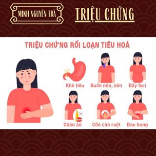 Trà Thải Độc Tiêu Hóa - Minh Nguyên - Sạch Đường Ruột, Giảm Táo Bón, Hỗ Trợ Tiêu Hóa - Túi 50 lọc