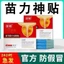 Miếng dán tuyến tiền liệt dành cho nam giới làm tăng cường sức khoẻ của thận,dịu cơn đau