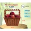 Giỏ vuông 2 quai – 057 - Lớn, tiện lợi gia đình trái cây, giỏ rẻ chất lượng,mẫu mới 057